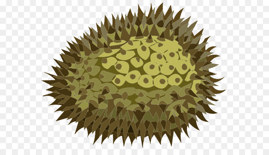 Dikenli Meyve，Durian PNG