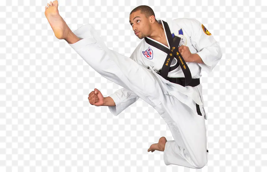 Dövüş Sanatçısı，Karate PNG