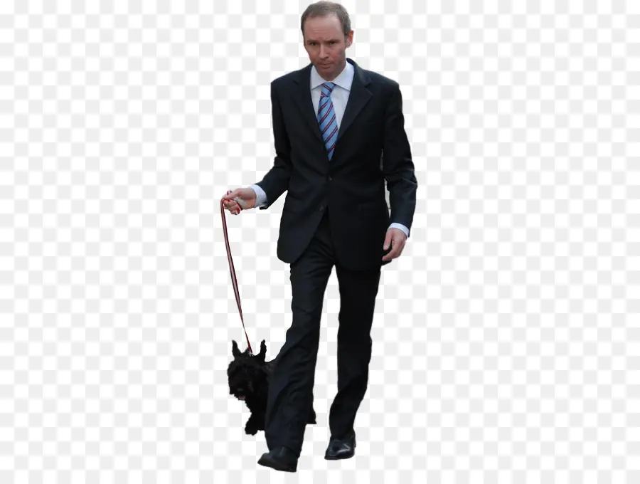 Adam Köpek Yürürken，Uygun Olmak PNG