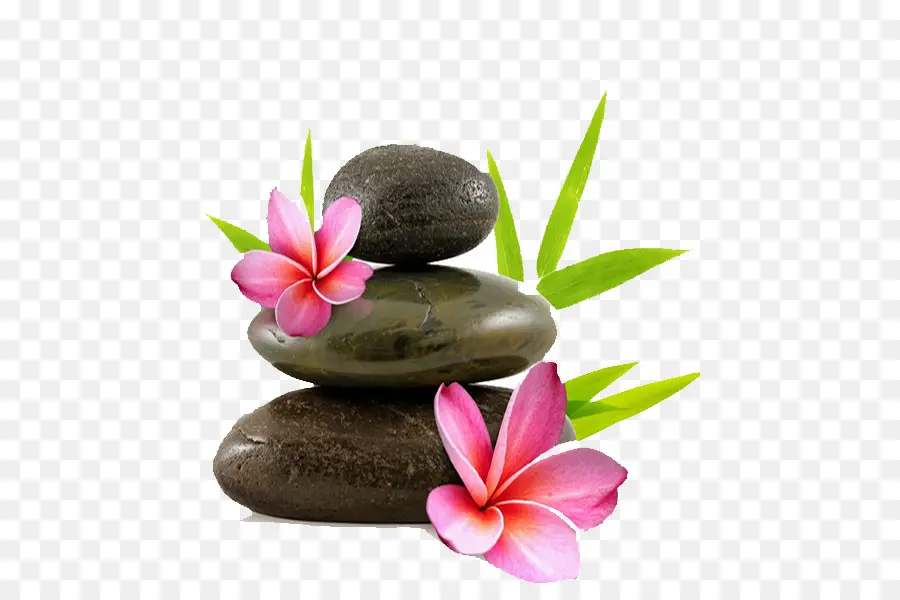 Zen Taşları，Çiçekler PNG