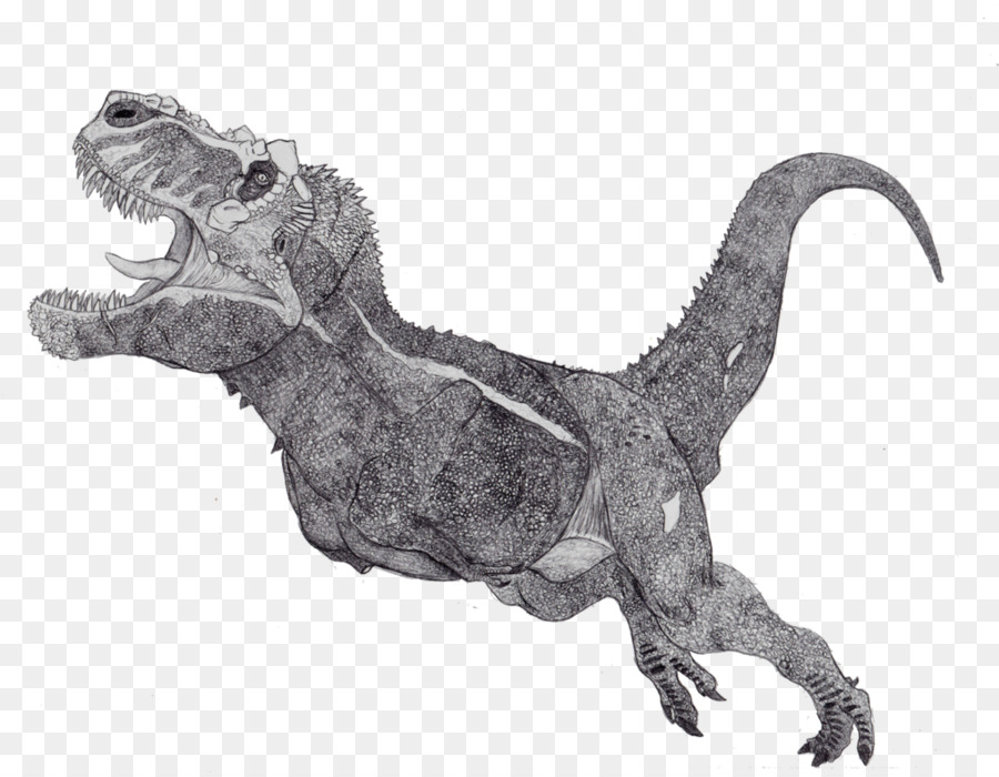 Dinozor Kralı，Tyrannosaurus PNG