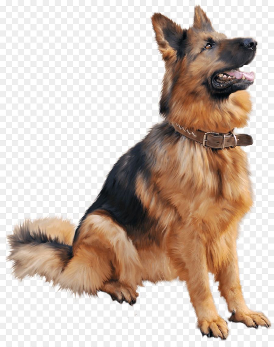 Alman Çoban，Köpek PNG