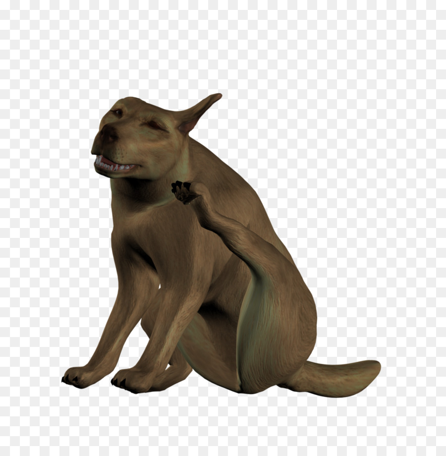 Köpek，Hisse Senedi PNG