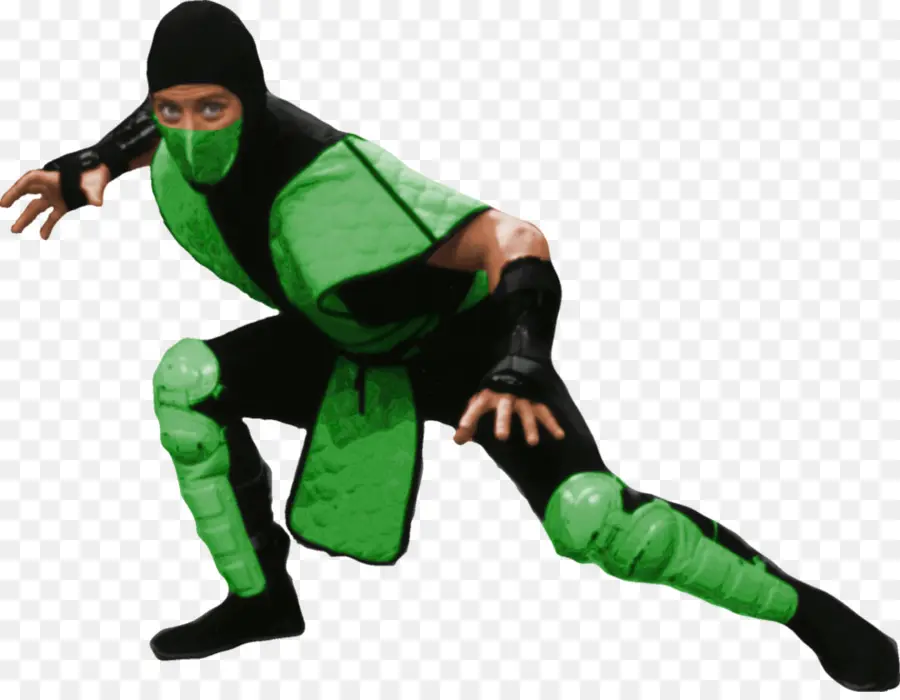 Yeşil Ninja，Dövüş Sanatları PNG