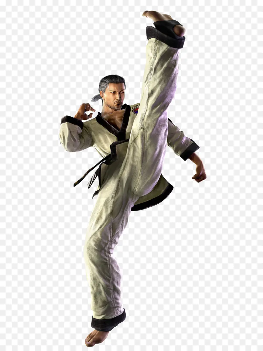 Dövüş Sanatçısı，Karate PNG