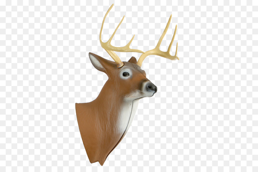 Yellow Deer Head，Geyik PNG