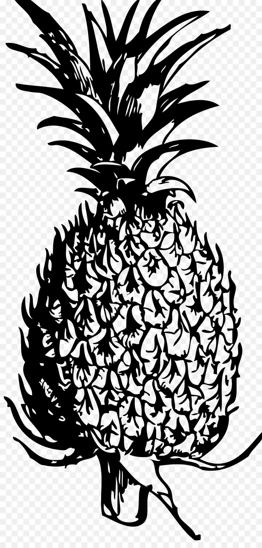 Ananas，Tropikal PNG