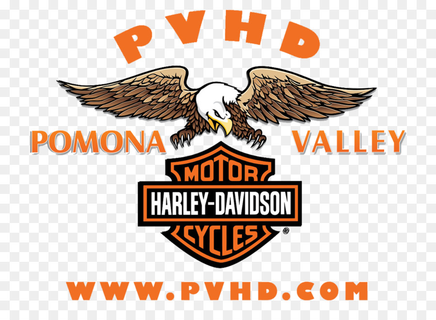 Harley Davidson Logosu，Kartal PNG