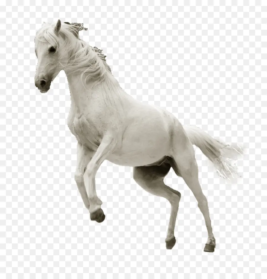 At，Masaüstü Duvar Kağıdı PNG