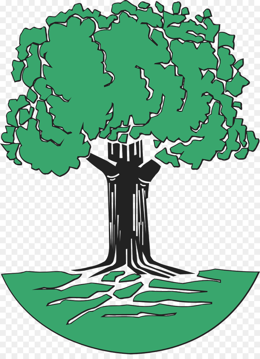 Ağaç，Meşe PNG