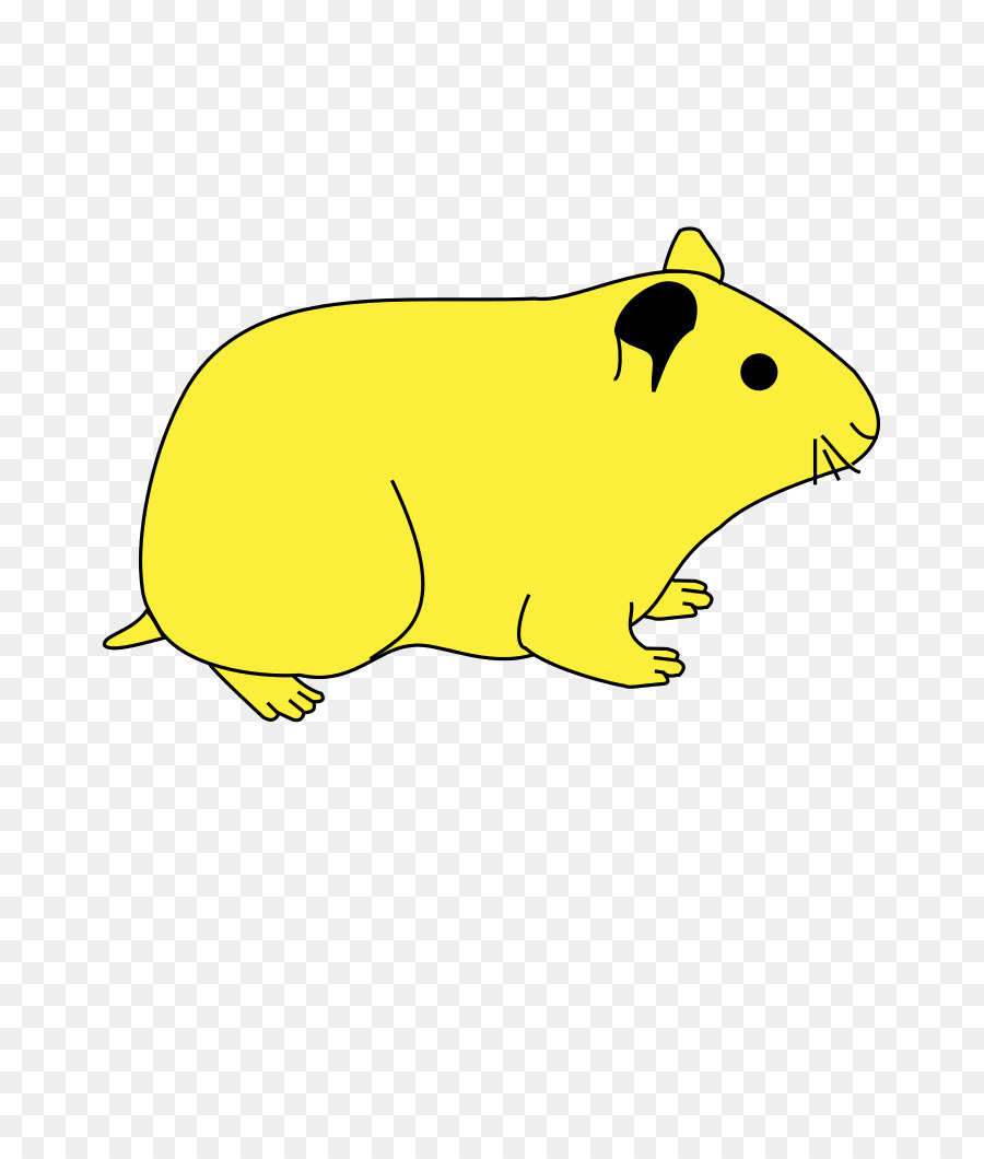 Hamster，Kemirgen PNG