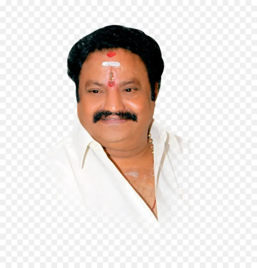 Nandamuri Harikrishna，Telugu Desam Partisi PNG
