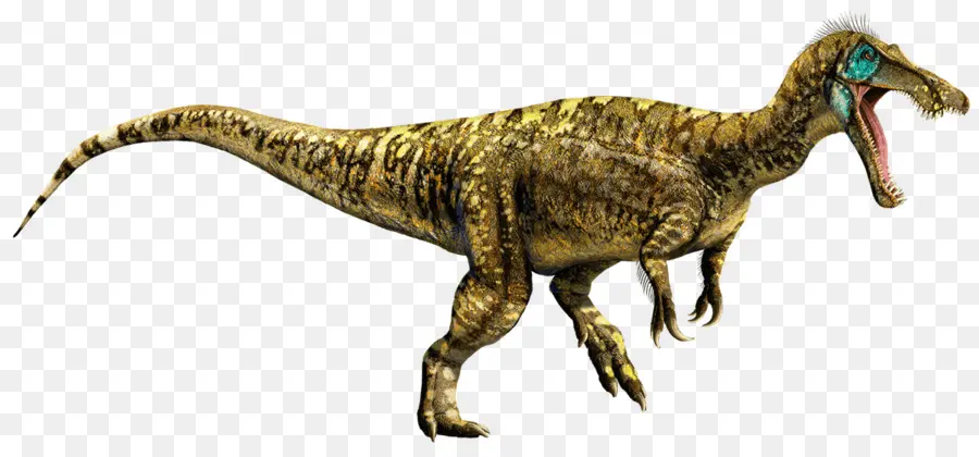 Baryonyx，Spinosaurus PNG