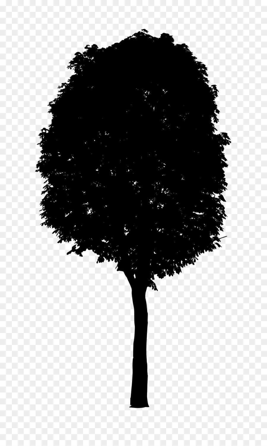 Ağaç，Siyah Ve Beyaz PNG