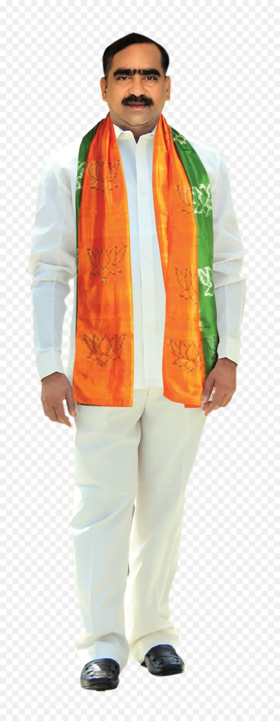 Bharatiya Janata Partisi，Telugu Desam Partisi PNG