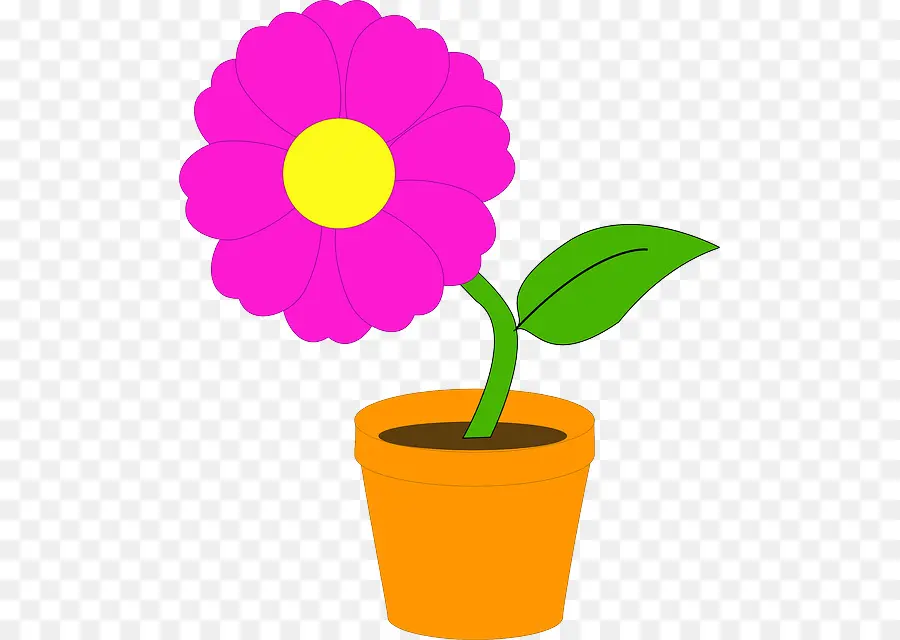Saksı，çiçek PNG