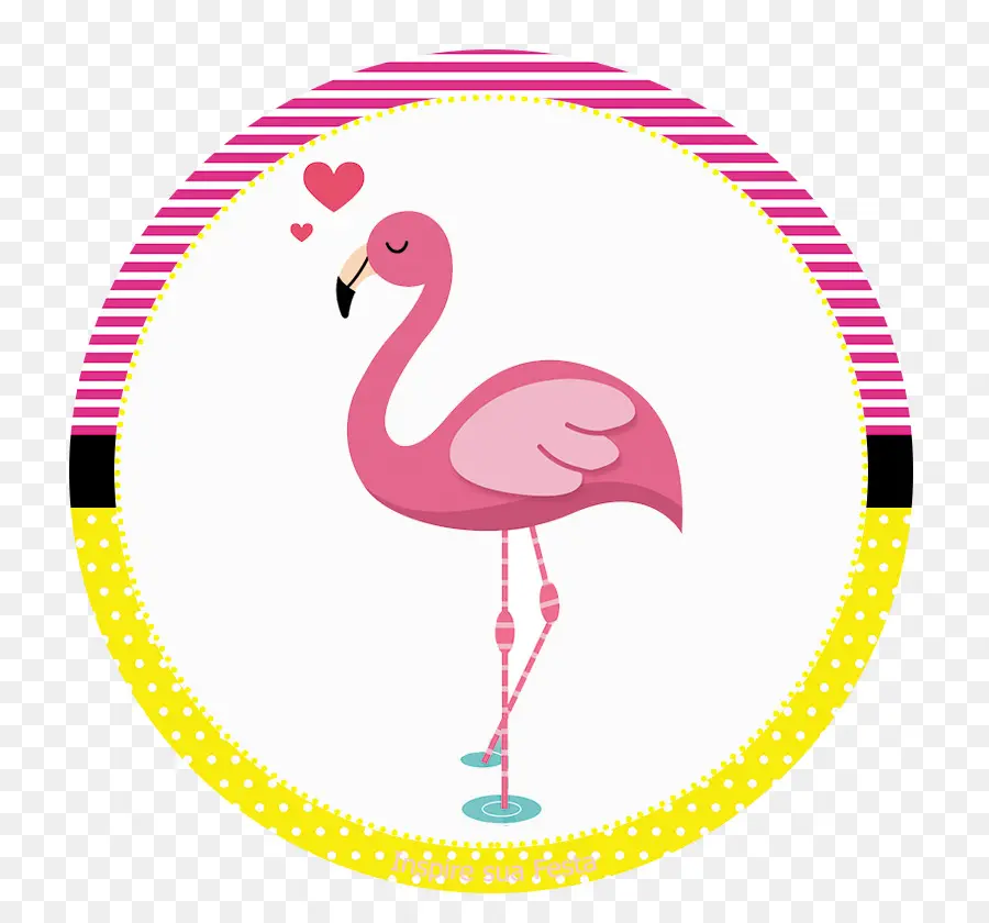 Pembe Flamingo，Kuş PNG