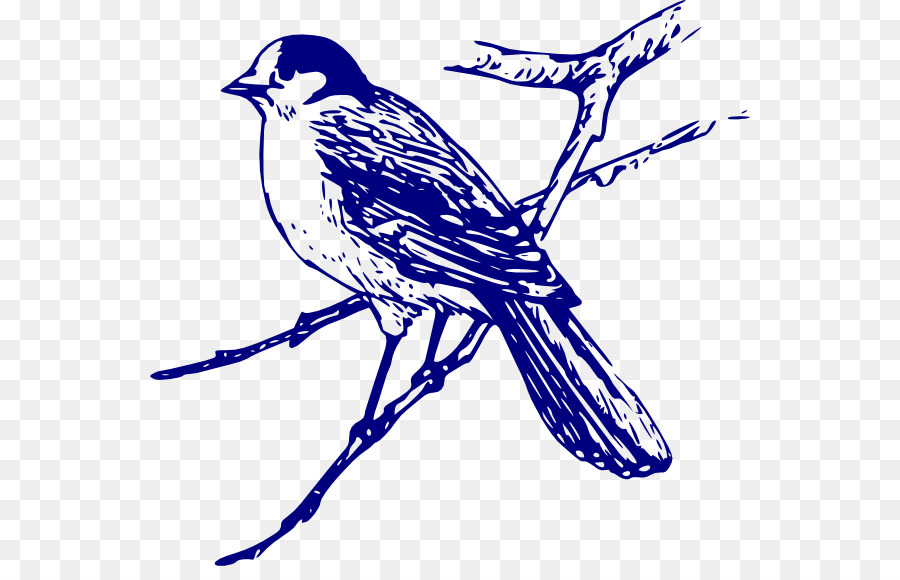 Kuş，Bluebird PNG