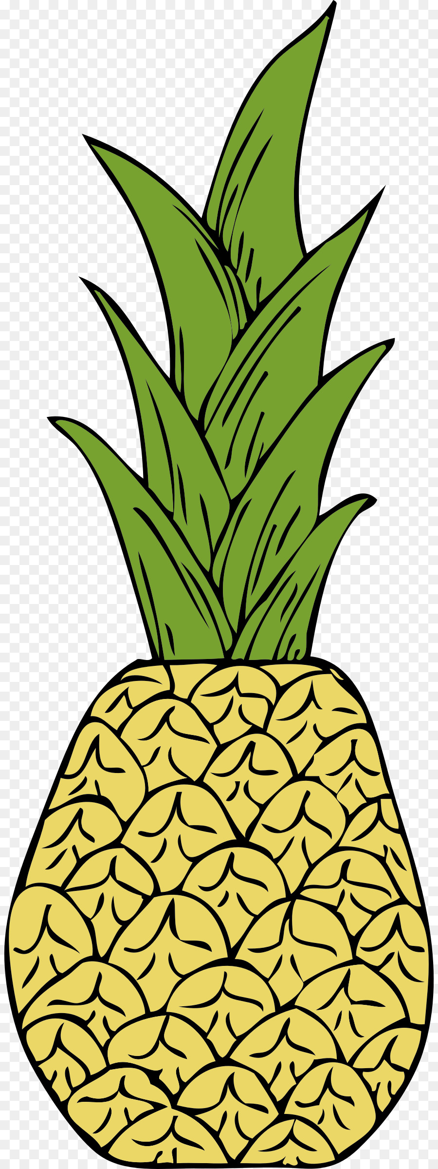 Ananas，Tropikal PNG