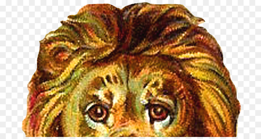 Aslan，Indir PNG