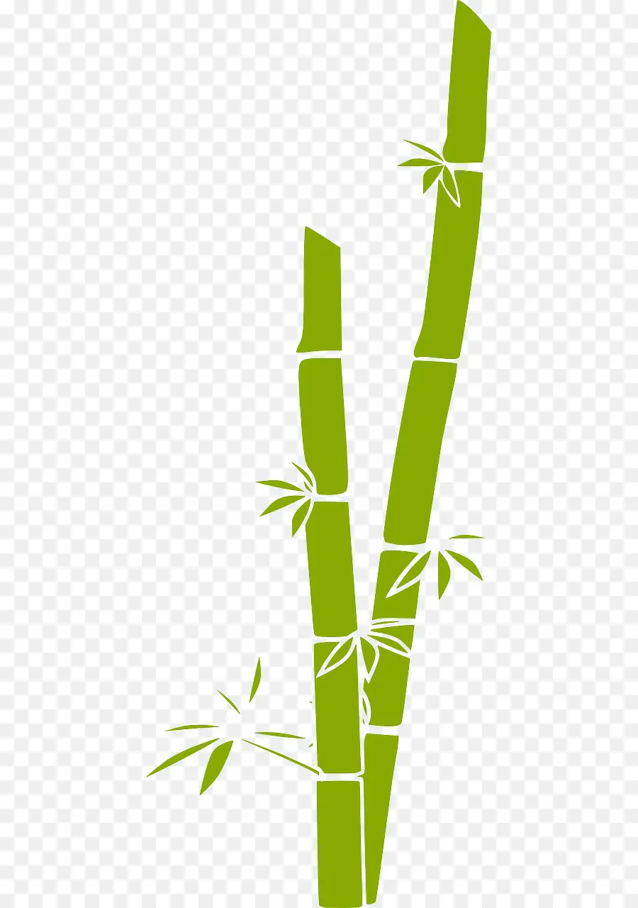 Bambu，Bilgisayar Yazılım PNG