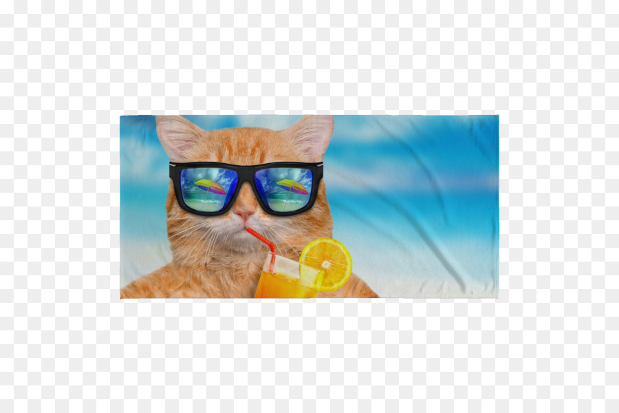 Kedi，Youtube PNG