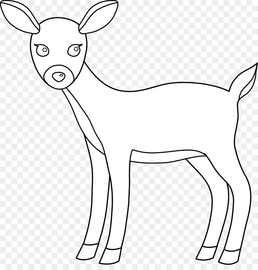 Geyik，Whitetailed Geyik PNG