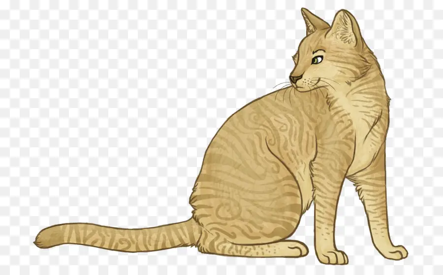 Oturan Kedi，Kedi PNG