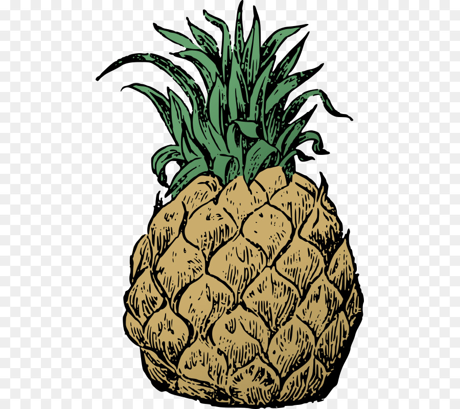 Ananas，Gıda PNG