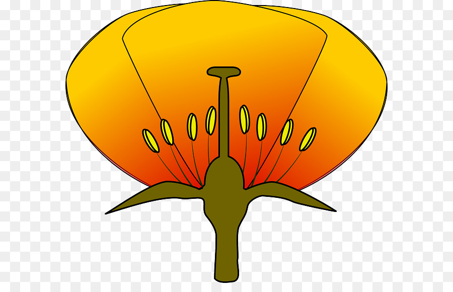 çiçek，Diyagramı PNG