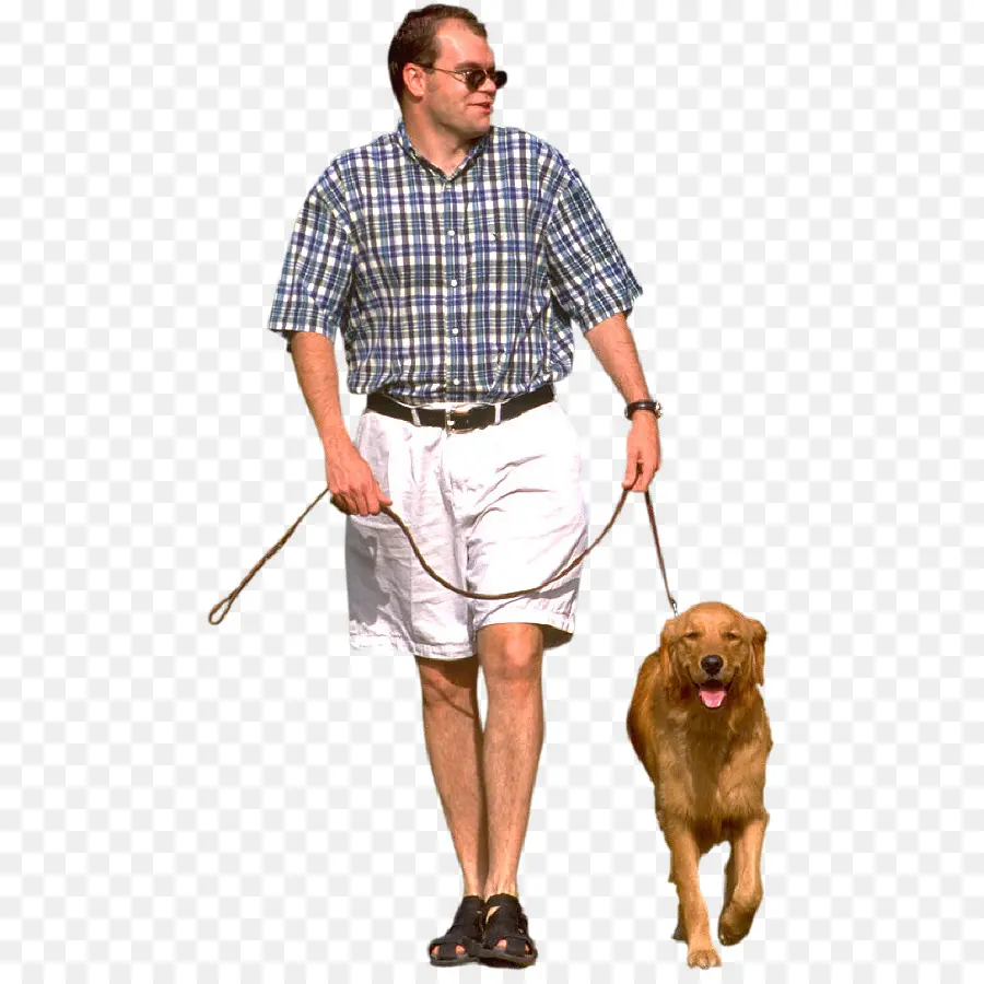 Adam Köpek Yürürken，Tasma PNG