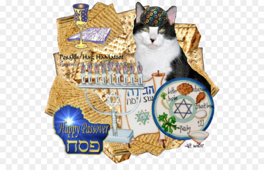 Kedi，Haggadah ı PNG