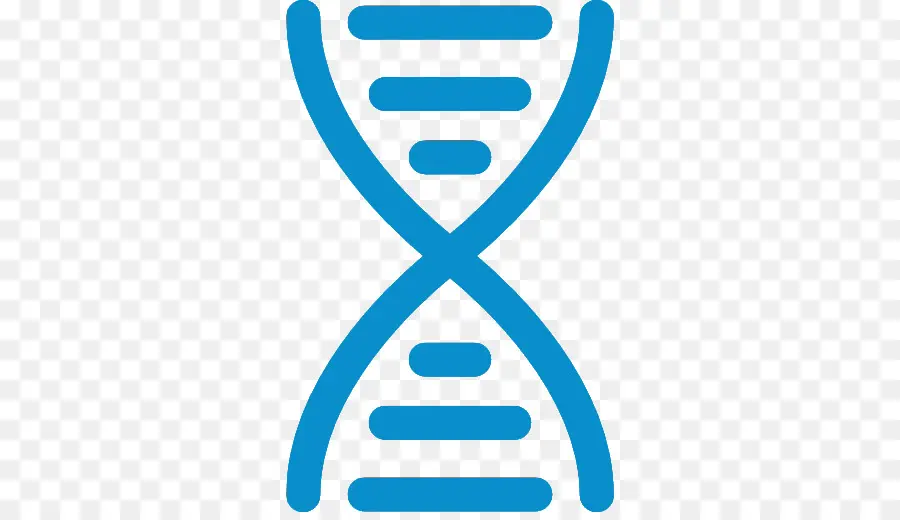 Dna，Sarmal PNG