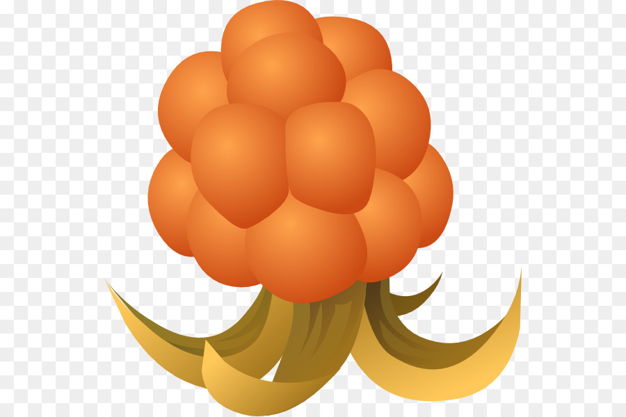 Cloudberry，Çizim PNG