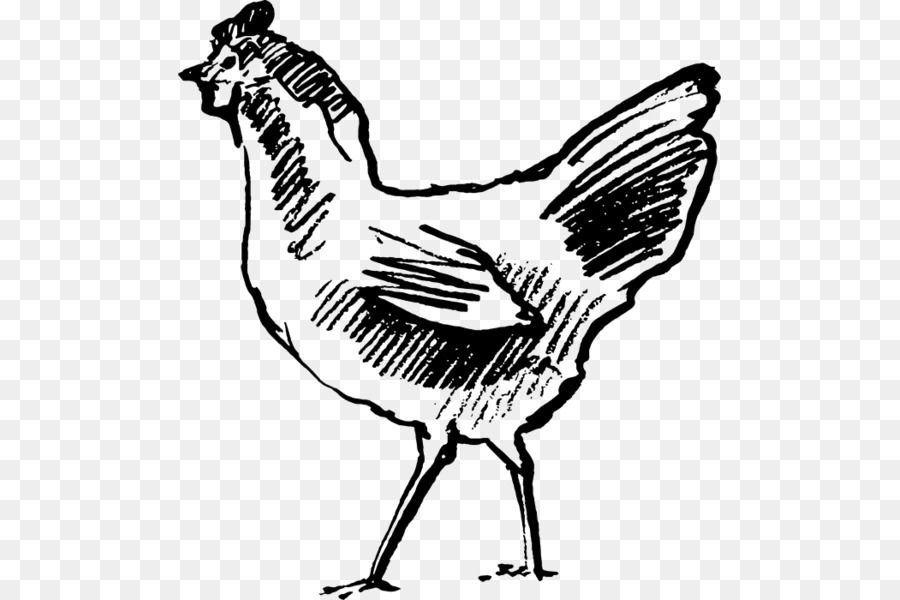 Tavuk，Hat Sanatı PNG