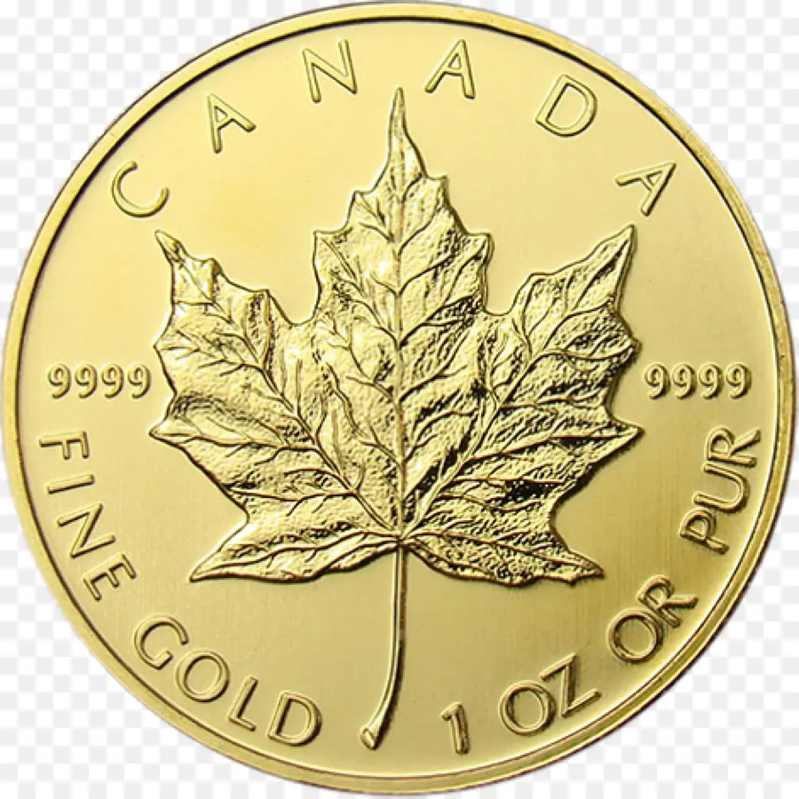 Kanada，Kanada Altın Maple Leaf PNG