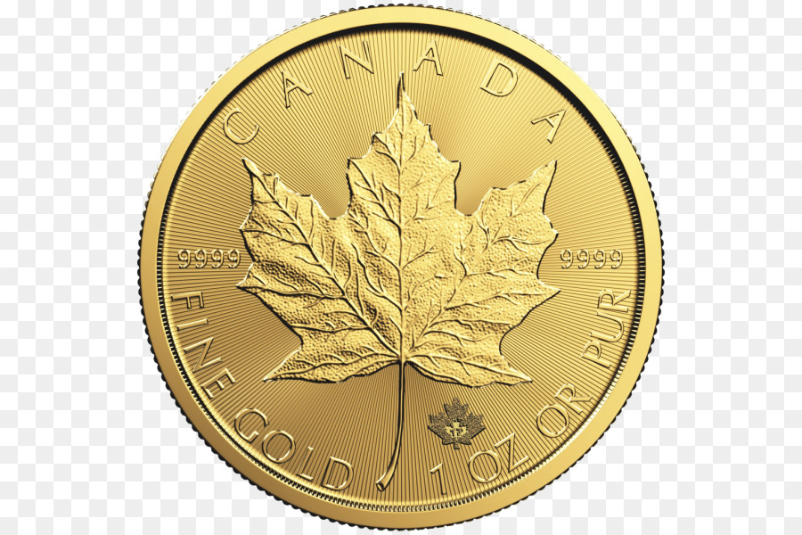 Kanada Altın Maple Leaf，Akçaağaç Yaprağı PNG