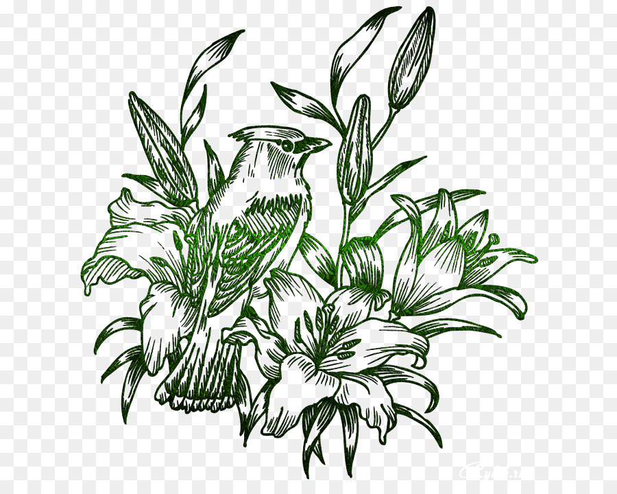 Birdandflower Resim，Çizim PNG