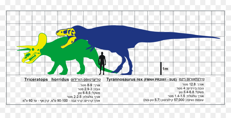 Tyrannosaurus，Triceratops PNG