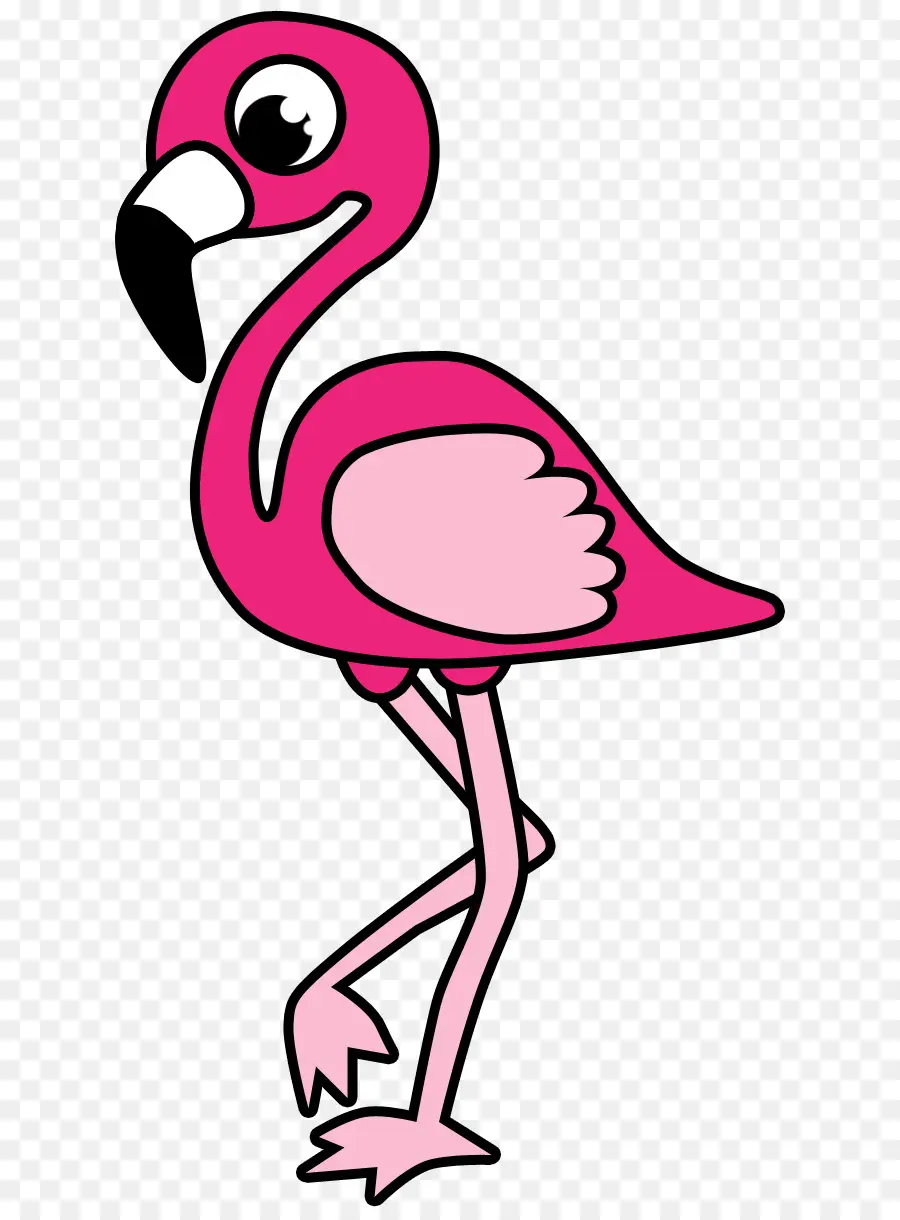 Kuş，Flamingo PNG