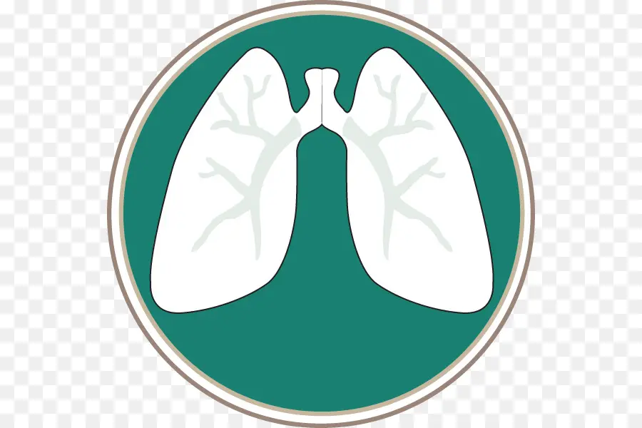 Akciğer，Pulmonoloji PNG