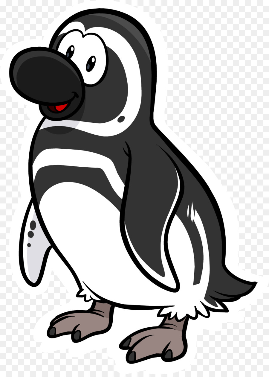 Karikatür Penguen，Kuş PNG