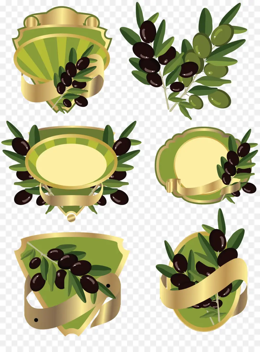 Zeytin Dalları，Zeytin PNG