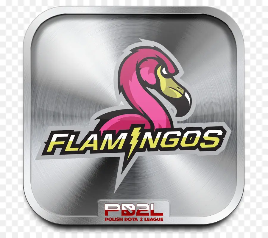 Flamingo Logosu，Kuş PNG