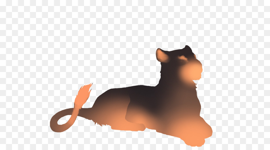 Kedi，Aslan PNG