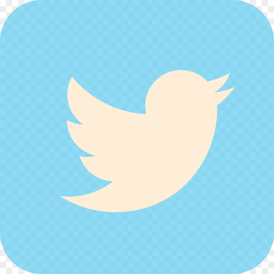 Twitter Logosu，Sosyal Medya PNG