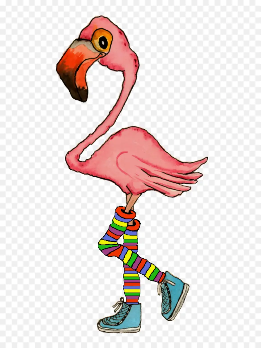 Karikatür，Flamingo PNG