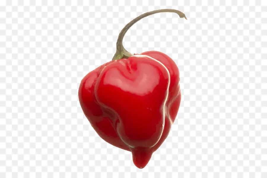 Habanero，Kırmızı Savina Biber PNG