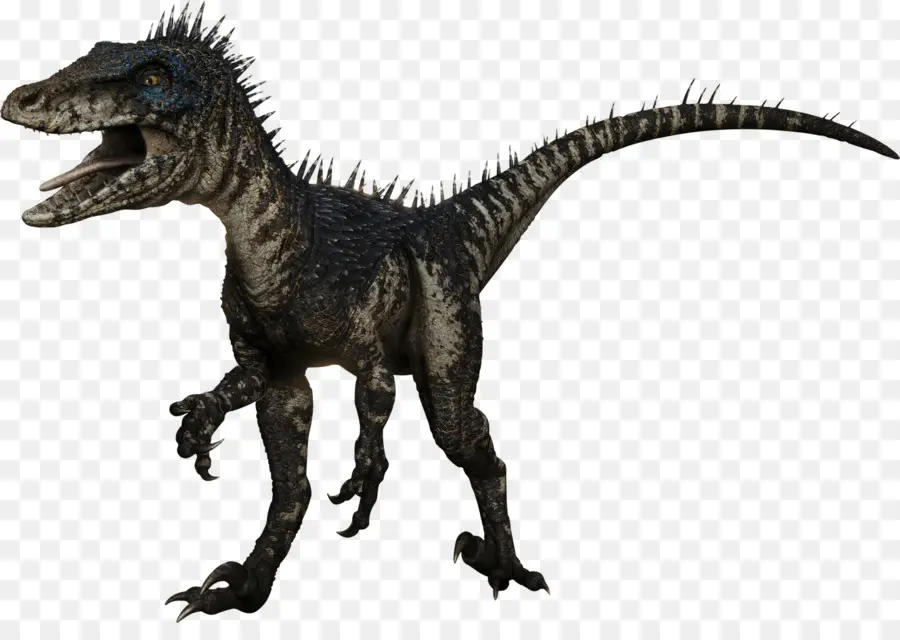 Deinonychus，Albertosaurus PNG