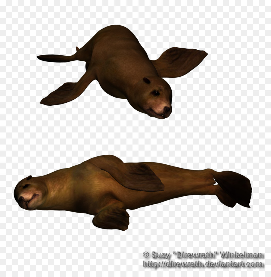 Deniz Aslanı，Aslan PNG